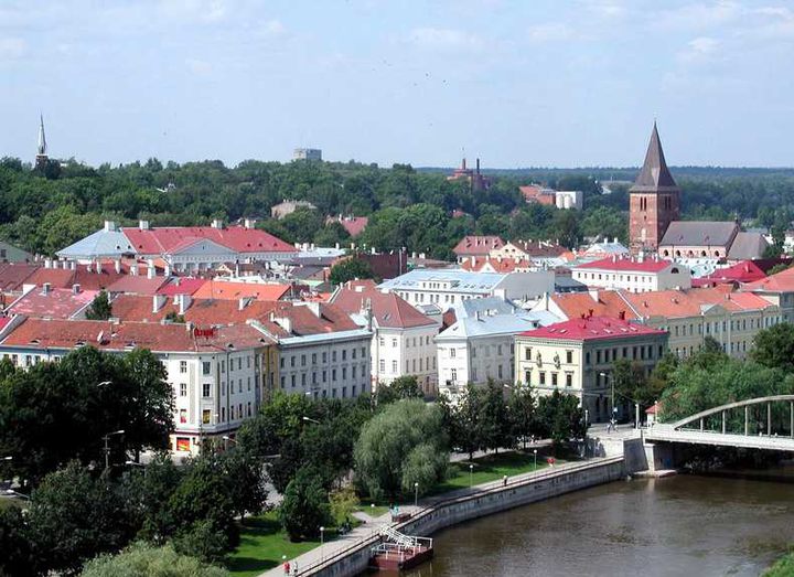 УСПЕХИ ЮНЫХ ДЗЮДОИСТОВ