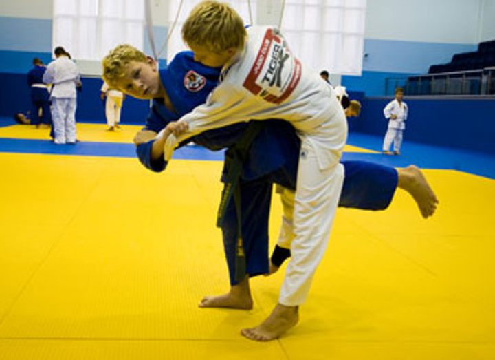 Региональный турнир по дзюдо г.Чайковский