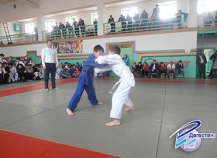 In the New Lak area the best judoists were defined