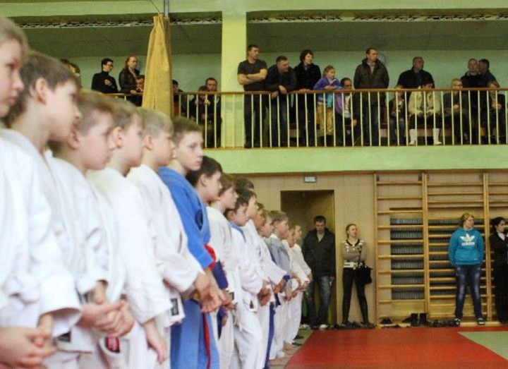 Judo in Borisov