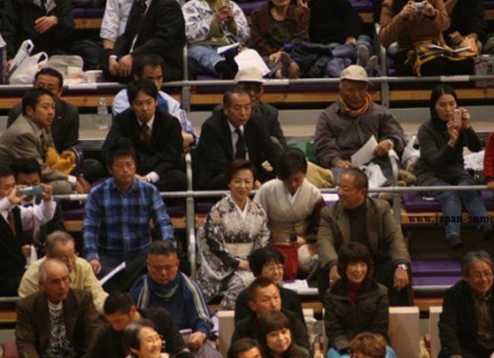 The association of sumo will try a role of the matchmaker