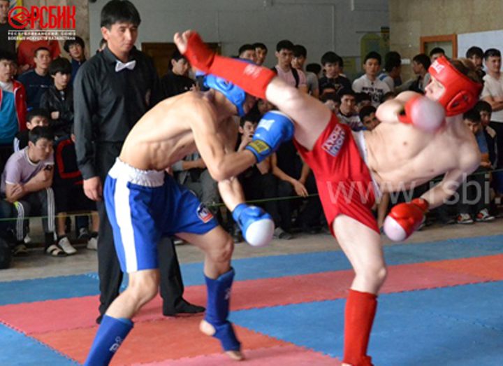 The championship of Kazakhstan by the mixed types of martial arts