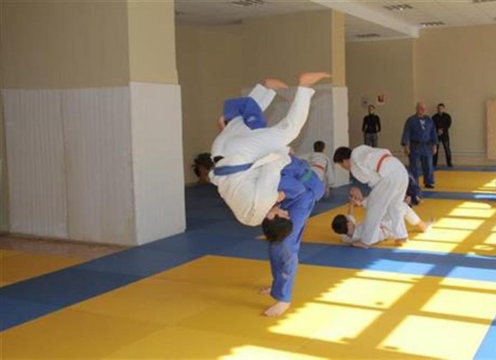 To judoists presented one more halls