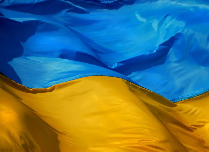 The national team of Ukraine on female wrestling