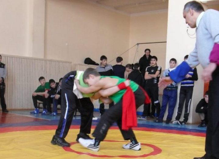 Open tournament on national wrestling 