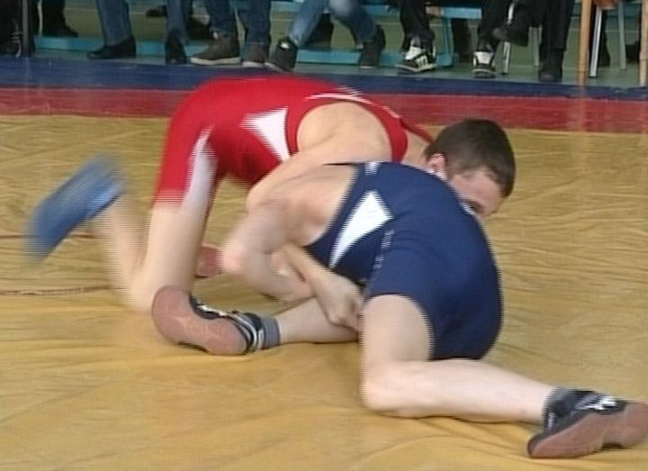 The All-Russian tournament on free-style wrestling