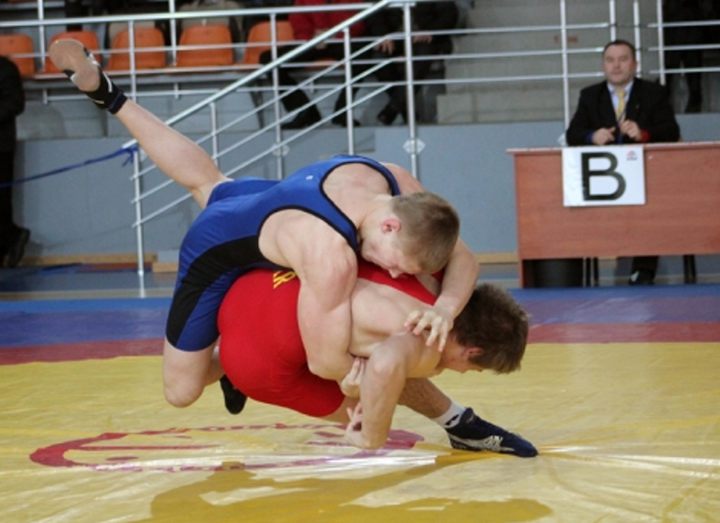 Championship of Belarus in free-style wrestling