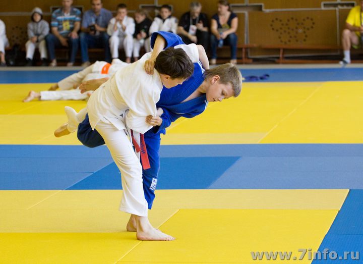 Tournament on judo