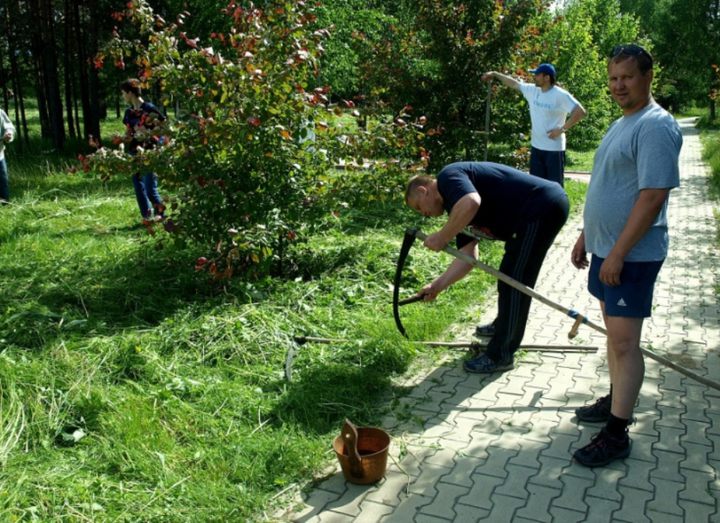 Judoists Three-mountain carried out training, having arranged a haymaking