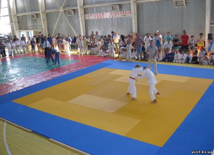 In Genichesk started the international tournament on judo