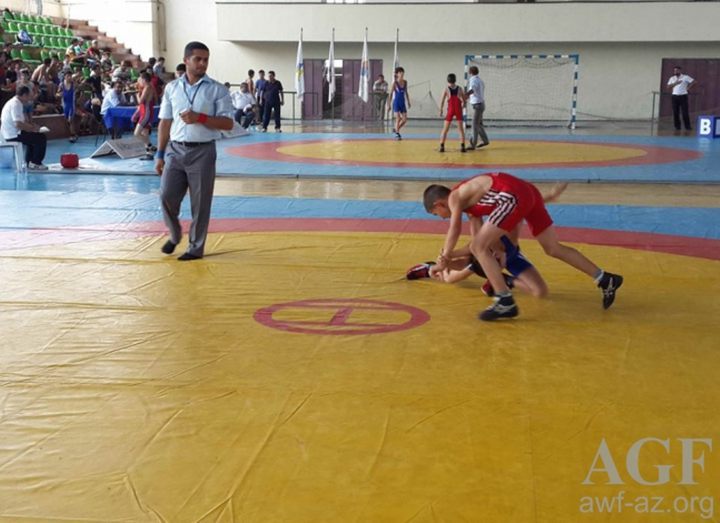 Azeri won tournament of Olympians