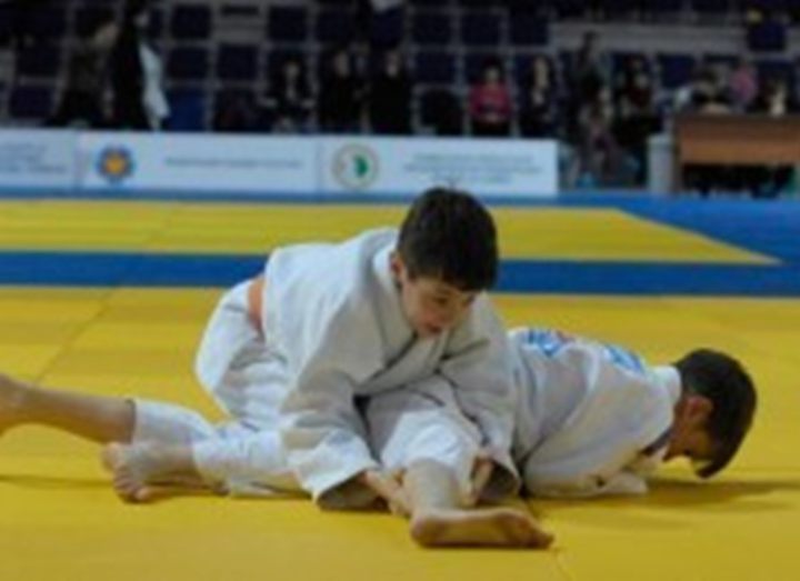 Tournament on judo among school students 