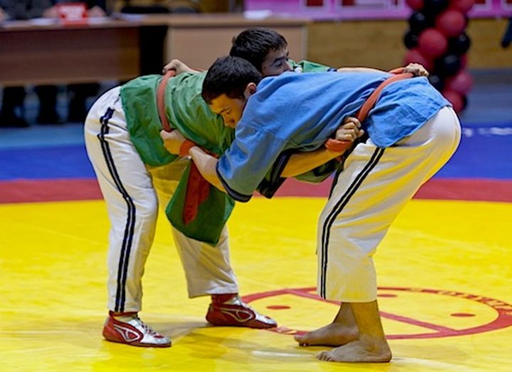 The command from Moldova will take part in the World Cup on wrestling on belts