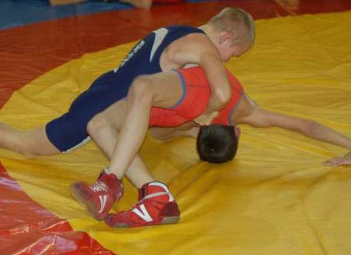 Открытый турнир по греко-римской борьбе в Алексине