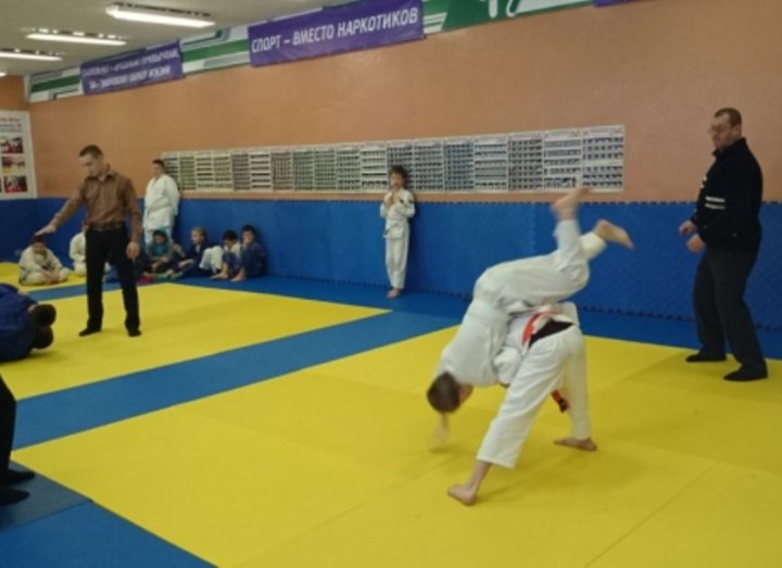 Championship of the Shebekinsky area in judo