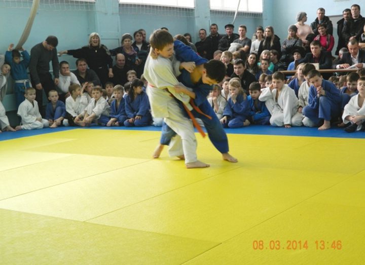 In Chernogorsk took place tournament on judo