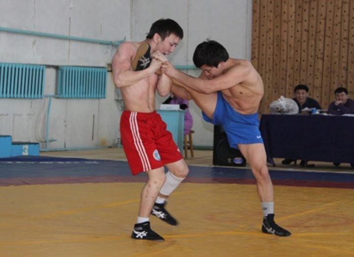 ХАПСАГАЙ - борьба сильных и ловких