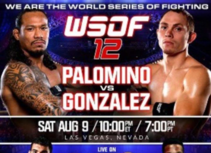 РЕЗУЛЬТАТЫ WORLD SERIES OF FIGHTING 12: PALOMINO VS GONZALEZ