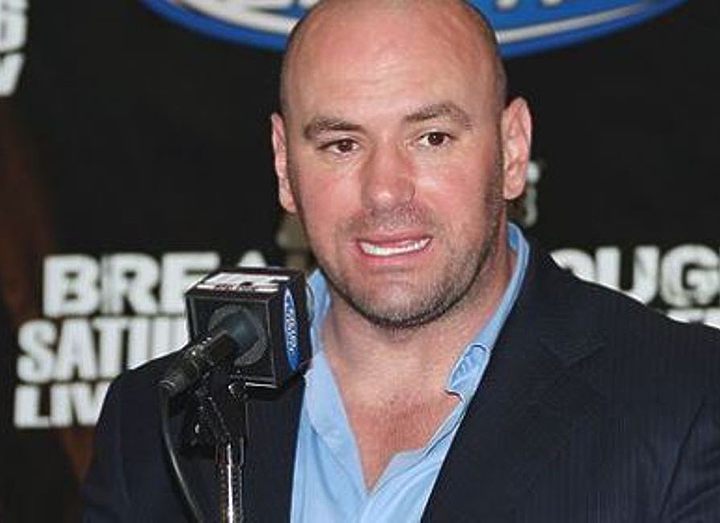 ДЭЙНА УАЙТ О ПОЕДИНКЕ АЛЬВАРЕС — СЕРРОНЕ