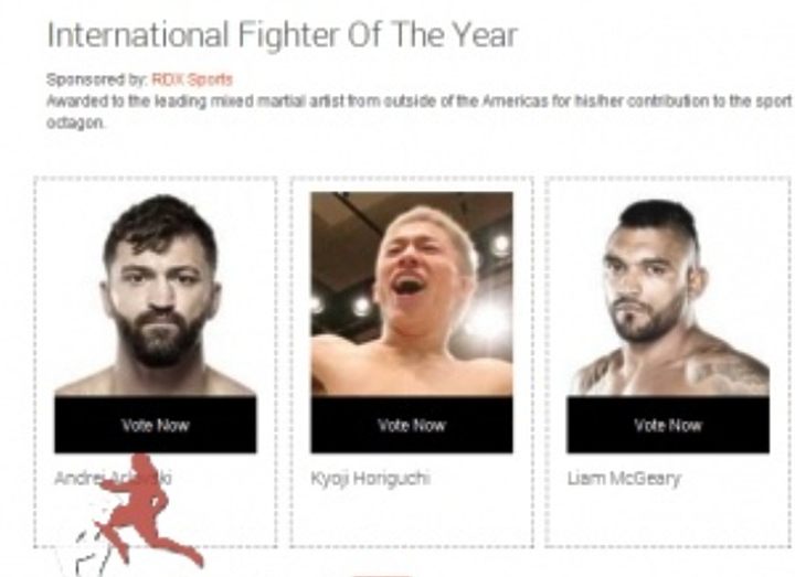 ОТКРЫТО ФИНАЛЬНОЕ ГОЛОСОВАНИЕ WORLD MMA AWARDS 2014