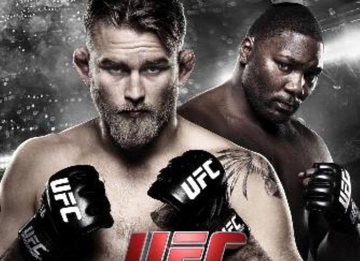 РЕЗУЛЬТАТЫ И БОНУСЫ UFC ON FOX: GUSTAFSSON VS. JOHNSON