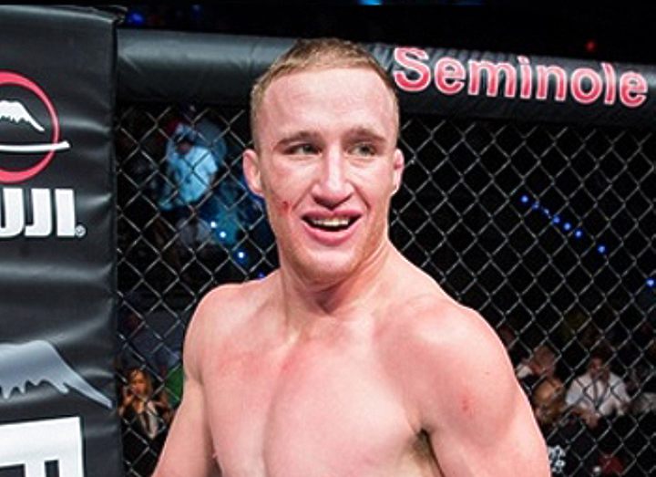 Джастин Гейджи против Луиса Паломино на WSOF 19