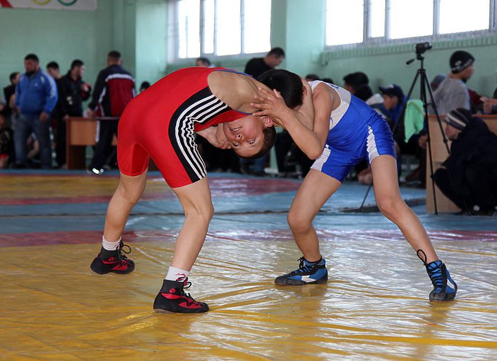 Результаты международного турнира по вольной борьбе в Сокулуке