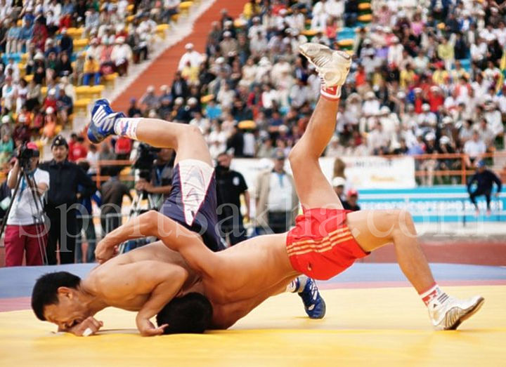 В Хабаровске создана федерация борьбы хапсагай