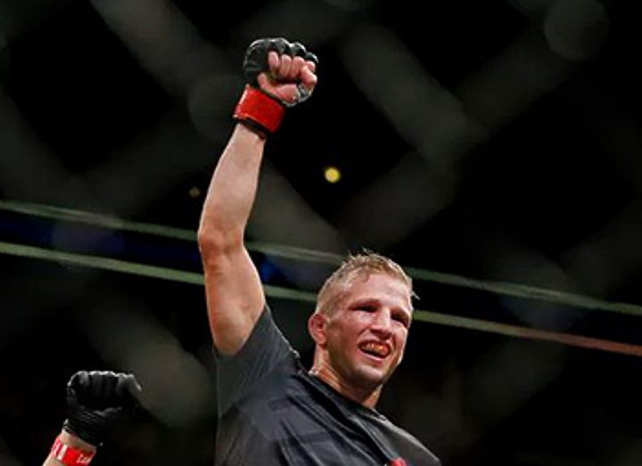 Ти Джей Диллашоу вновь деклассировал Ренана Барао