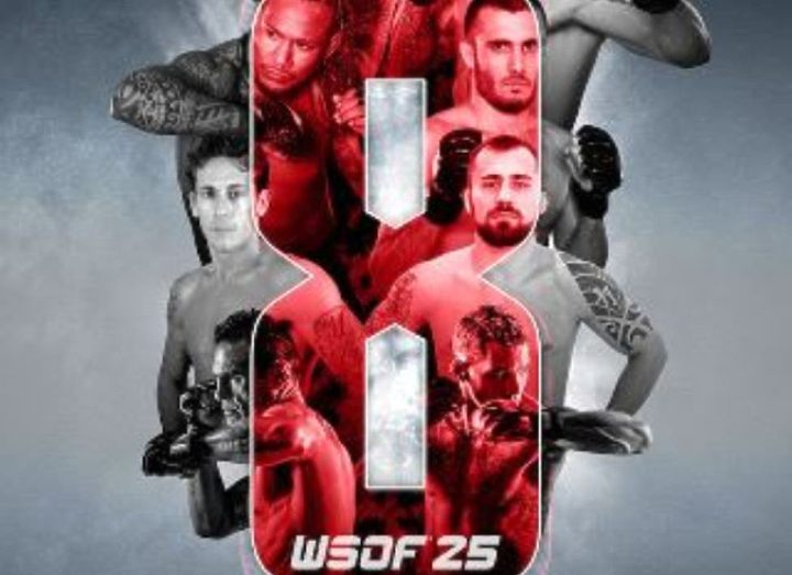 РЕЗУЛЬТАТЫ WSOF 25: LIGHTWEIGHT TOURNAMENT