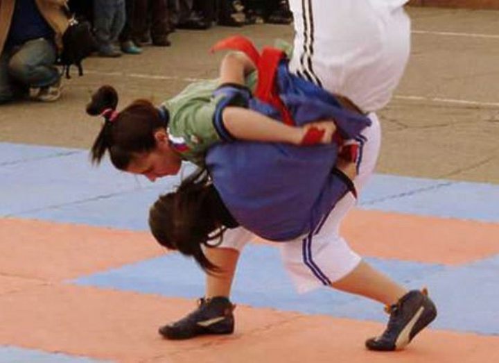 Первенство Владимирской области борьбы на поясах