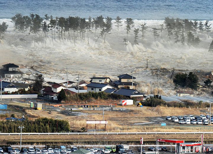 Дзюдо после цунами