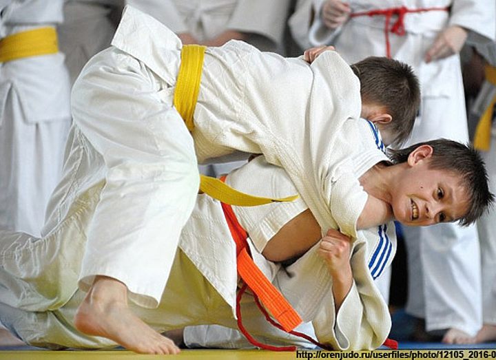 Дзюдоисты отказались от муниципальной опеки