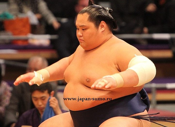 Экс-комусуби Такамисуги возглавил школу Тиганоура