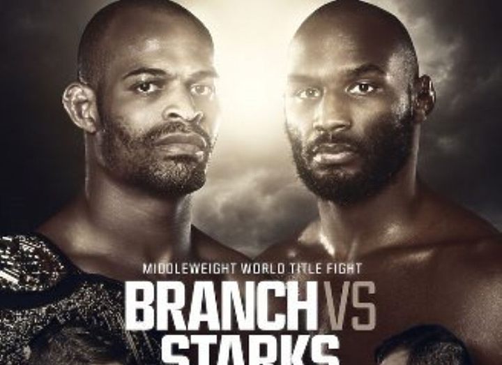РЕЗУЛЬТАТЫ WSOF 30: BRANCH VS. STARKS