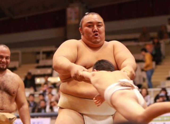 Котоюки перестанет ухать