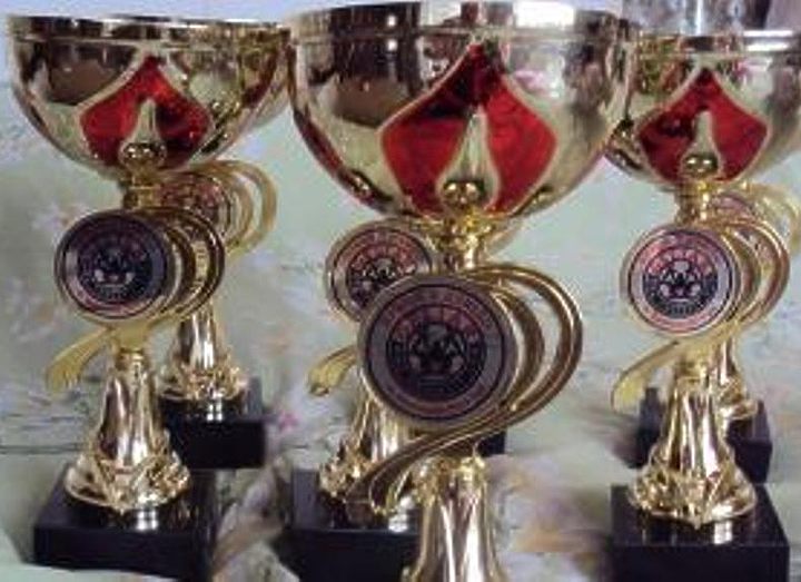 В Василькове состоится Кубок «Гелиар»