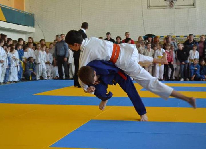 В Рубежном прошел чемпионат области по дзюдо