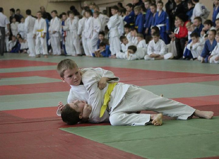 Ежегодный турнир по дзюдо
