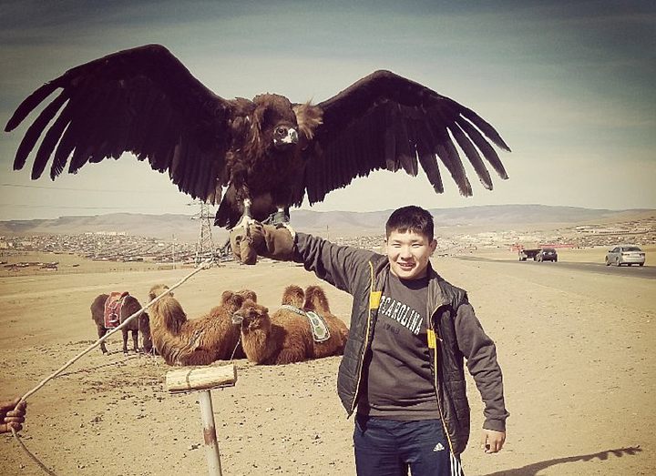 Золотые юноши