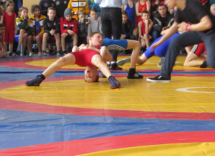 Результаты Щирецкого ковра