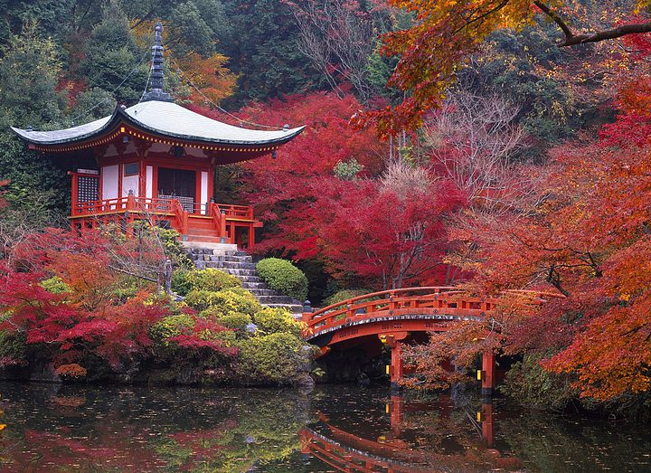 Азербайджанские дзюдоисты в Японии