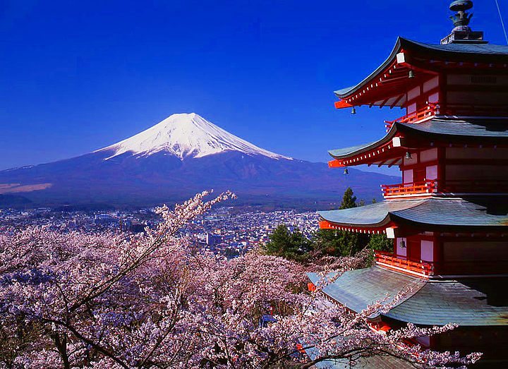 Азербайджанские дзюдоисты завершили сборы в Японии