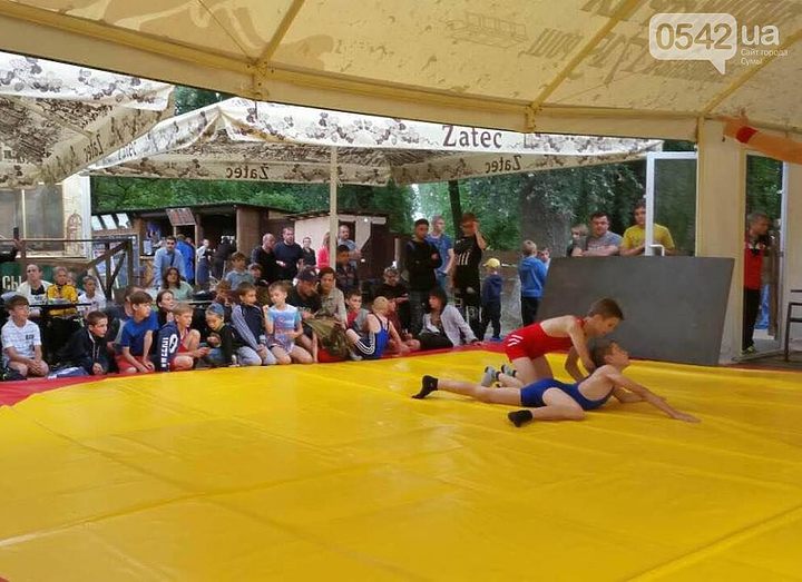 Состоялся кубок по вольной борьбе