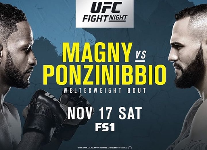 РЕЗУЛЬТАТЫ  UFC FIGHT NIGHT 140: MAGNY VS. PONZINIBBIO