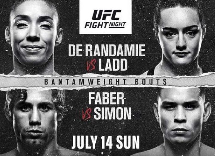 РЕЗУЛЬТАТЫ  UFC FIGHT NIGHT 155: DE RANDAMIE VS. LADD