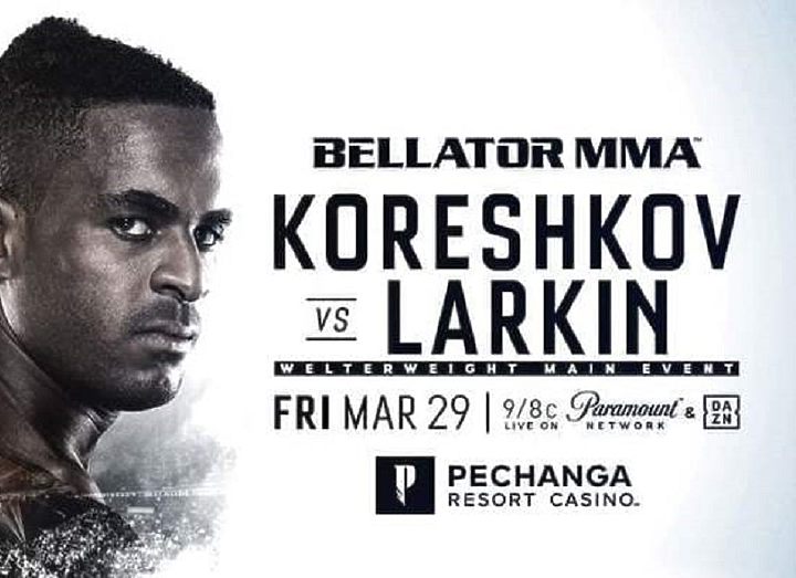 РЕЗУЛЬТАТЫ BELLATOR 229: KORESHKOV VS. LARKIN