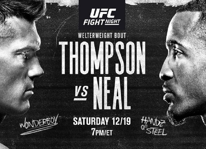 РЕЗУЛЬТАТЫ И БОНУСЫ UFC FIGHT NIGHT 183: THOMPSON VS. NEAL