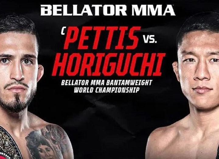 РЕЗУЛЬТАТЫ BELLATOR 272: PETTIS VS. HORIGUCHI