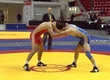 Кубок губернатора Кубани по вольной борьбе разыграли в Краснодаре